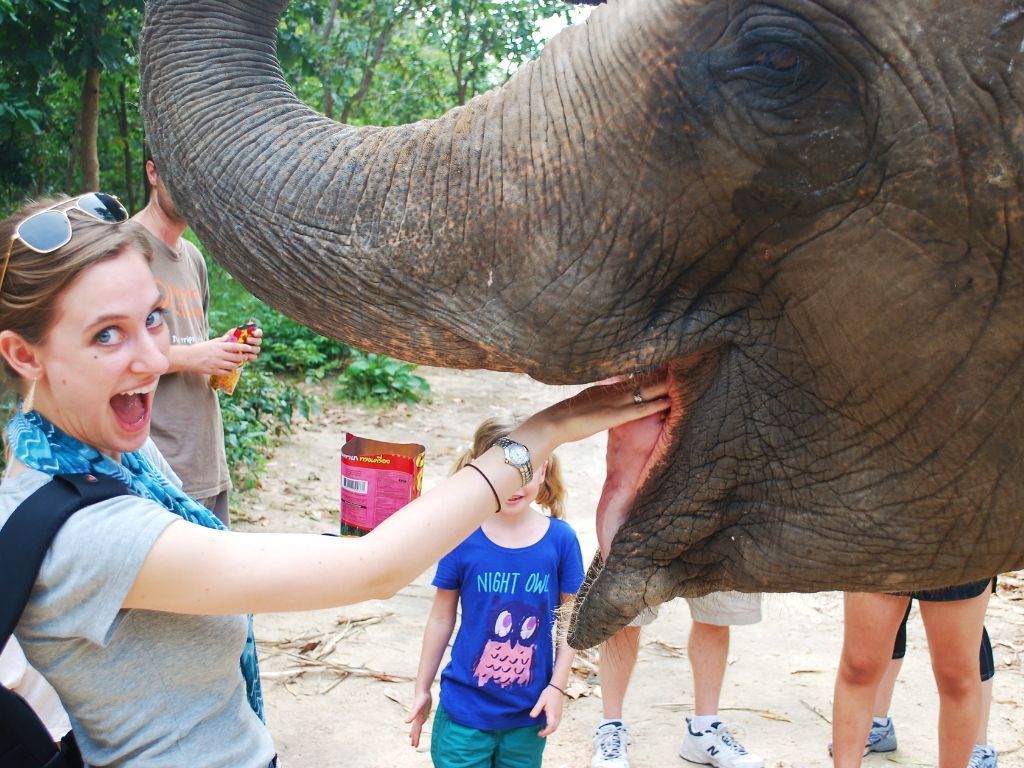  Phnom Tamao Wildlife Center & Buddha Kiri Cambodia private Day Tour from Phnom Penh