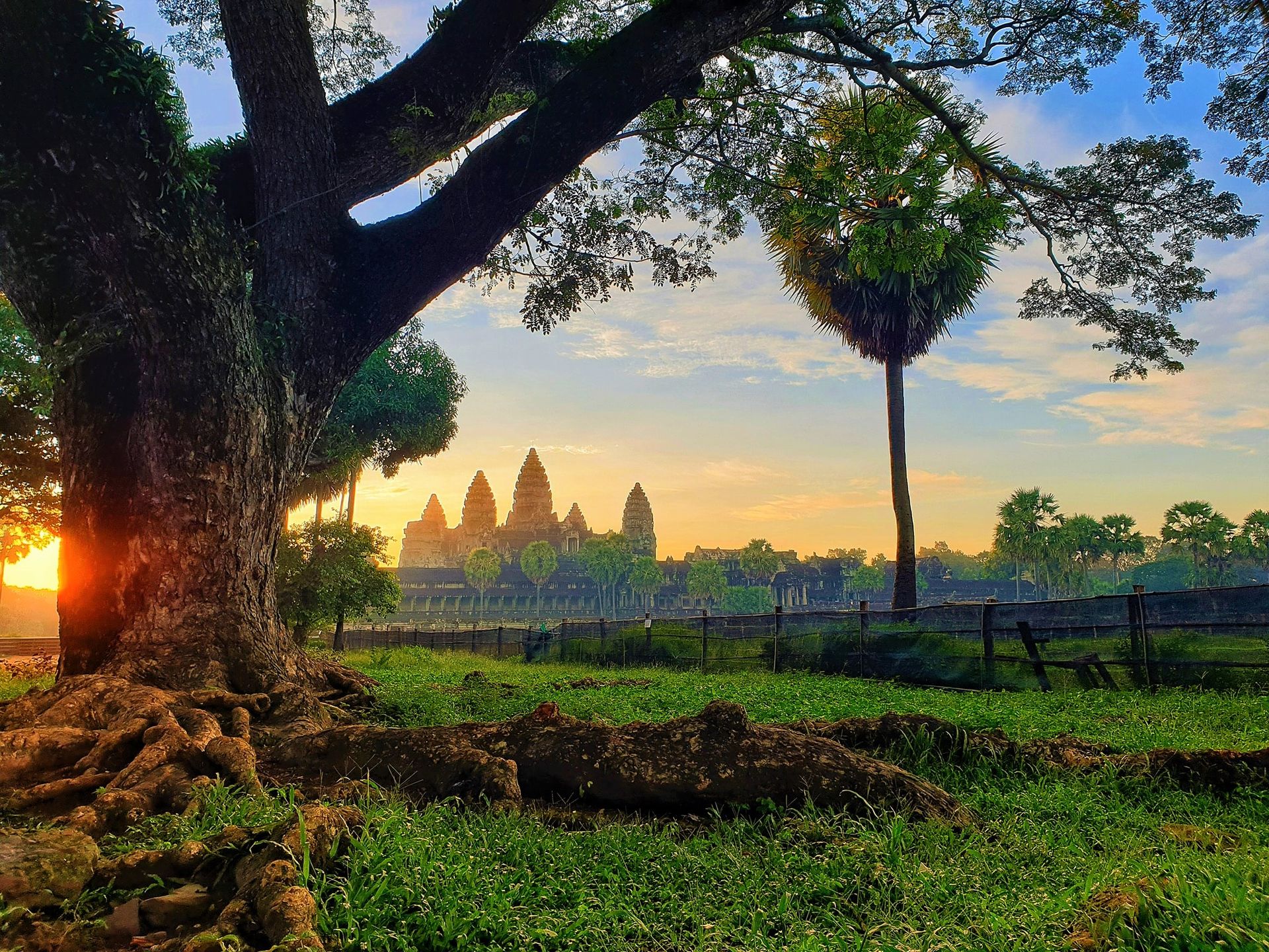 Cambodia and Mekong River 8 Days Tour from Siem Reap to Kratie and Phnom Penh