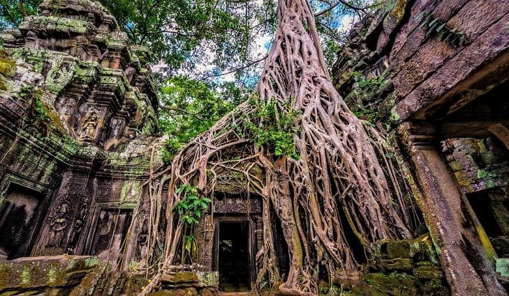 Private Siem Reap 5-day tour exploring Angkor Temples in Cambodia