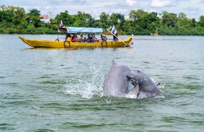 Cambodia and Mekong River 8 Days Tour from Siem Reap to Kratie and Phnom Penh
