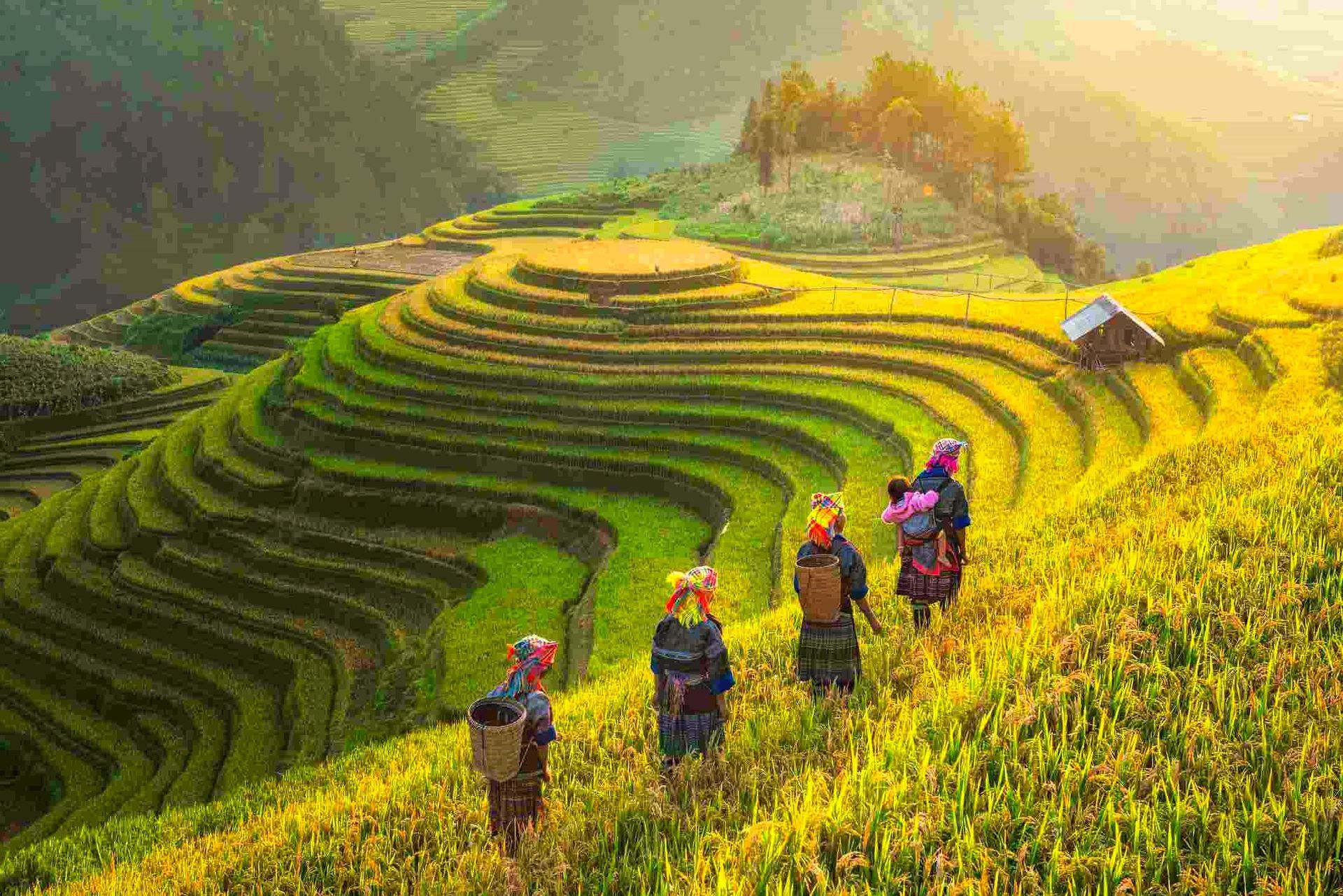 Vietnam adventure 12 days tour