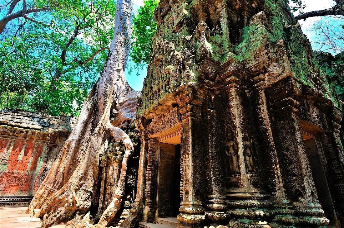 View of Angkor Wat during 7-Day Cambodia Tour