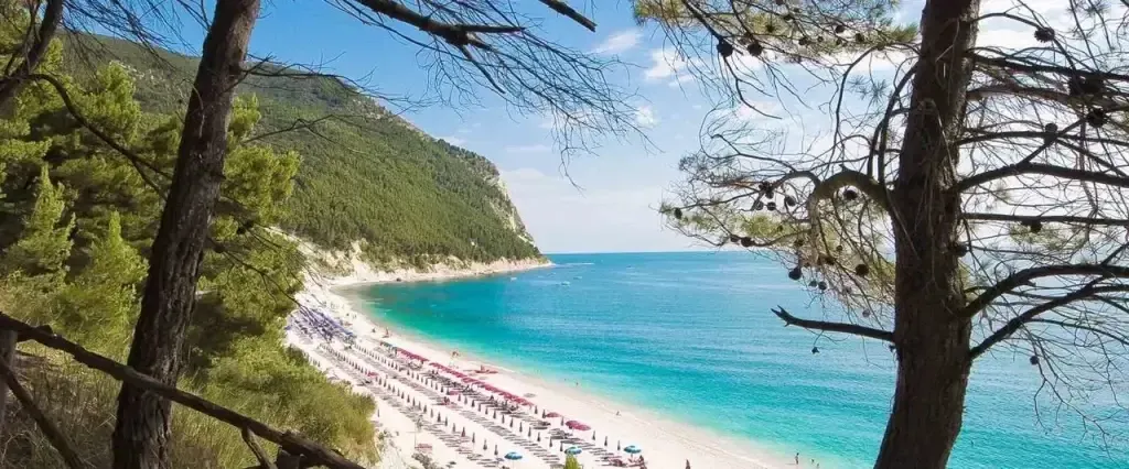 MONTE-PINO