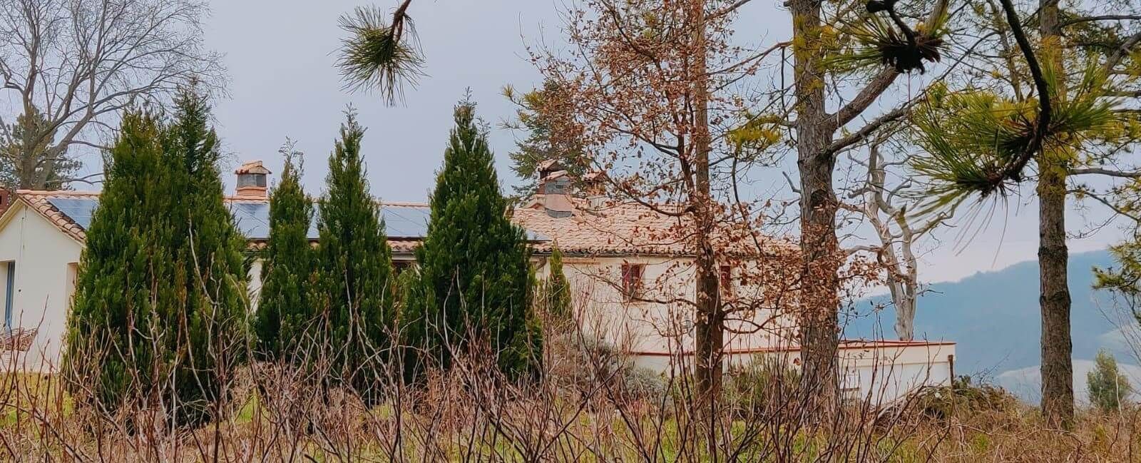 MONTE-PINO