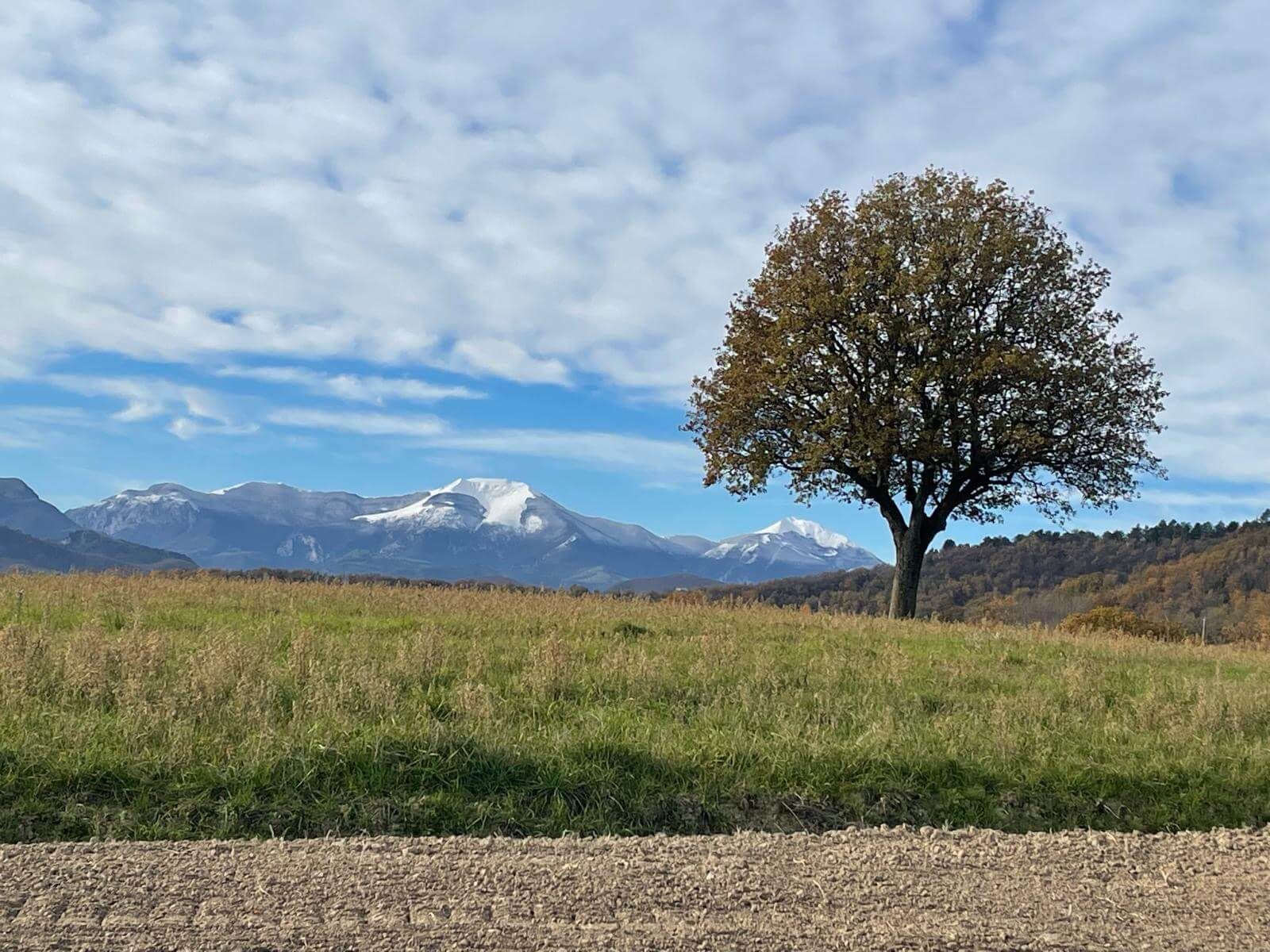 Surroundings Monte-Pino.it