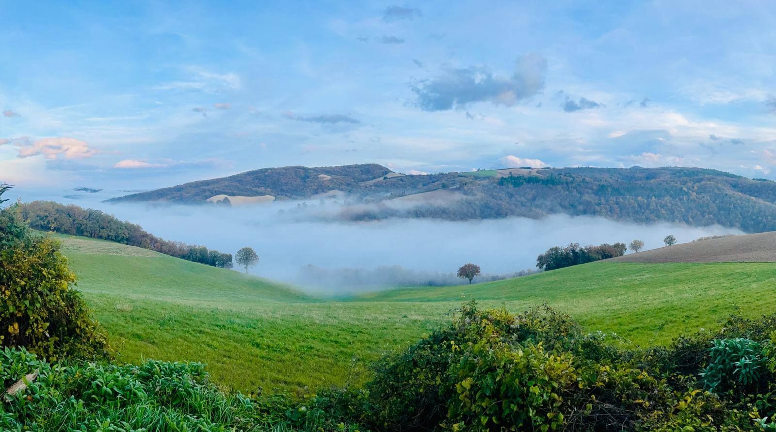 Omgeving Monte-Pino.it