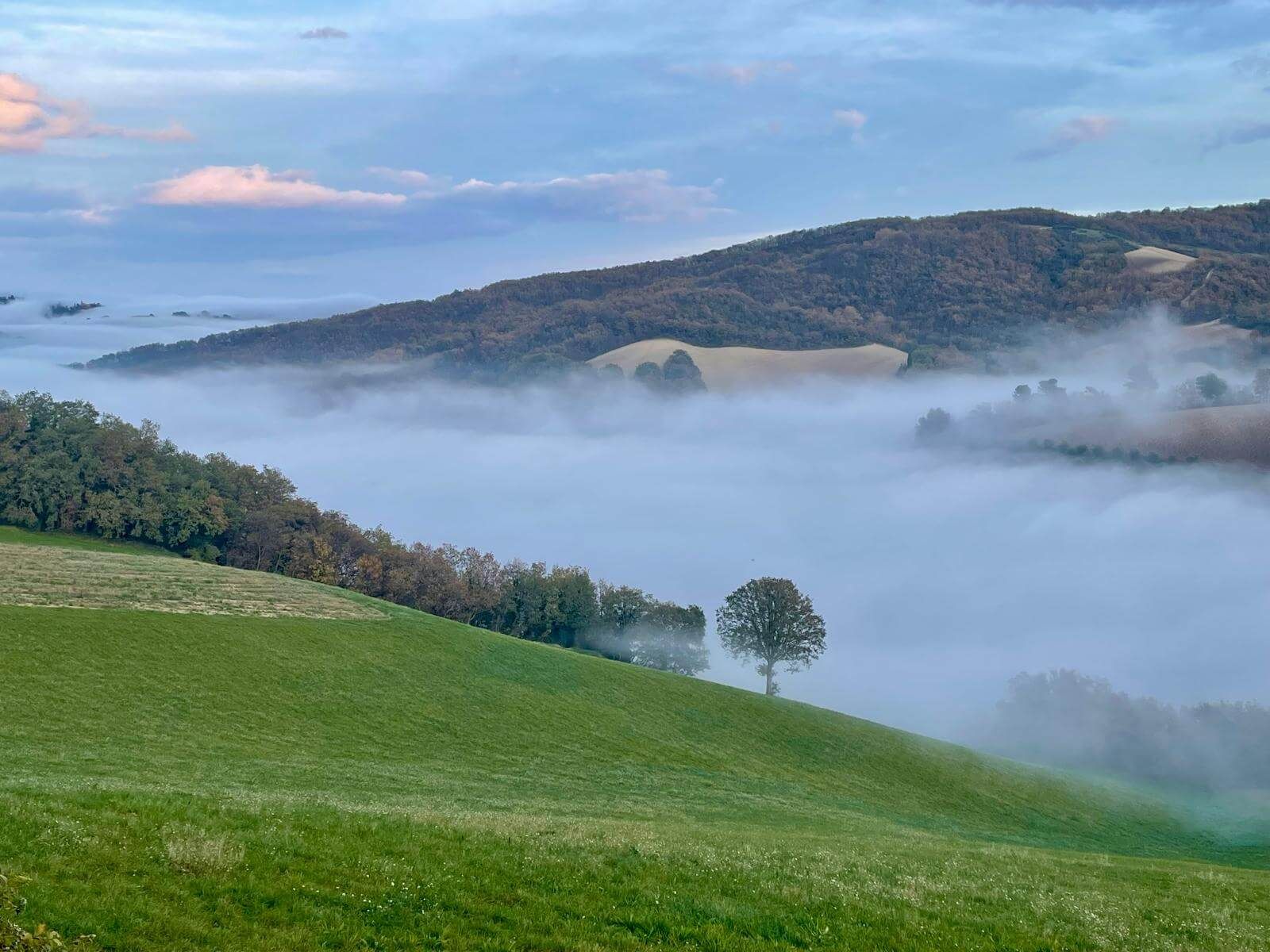 MONTE-PINO tuin