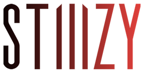 STIZY logo: Black to red gradient text on white background.