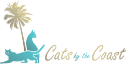 cats by the coast san diego vip cat sitting