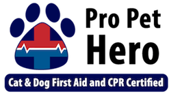 cats by the coast cat first aid cpr certified