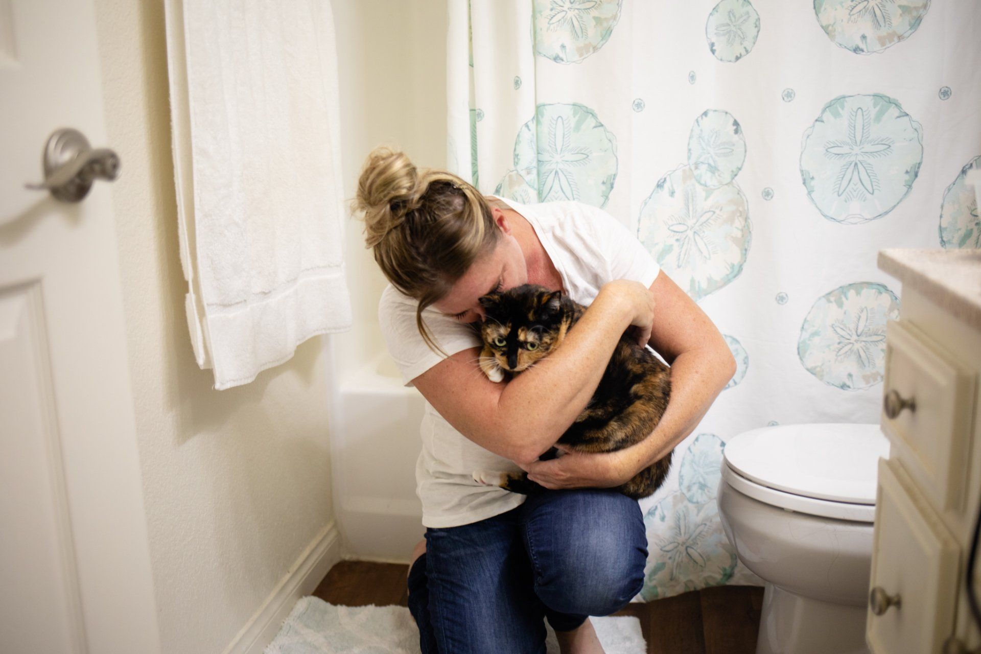 cats by the coast cat sitting gallery