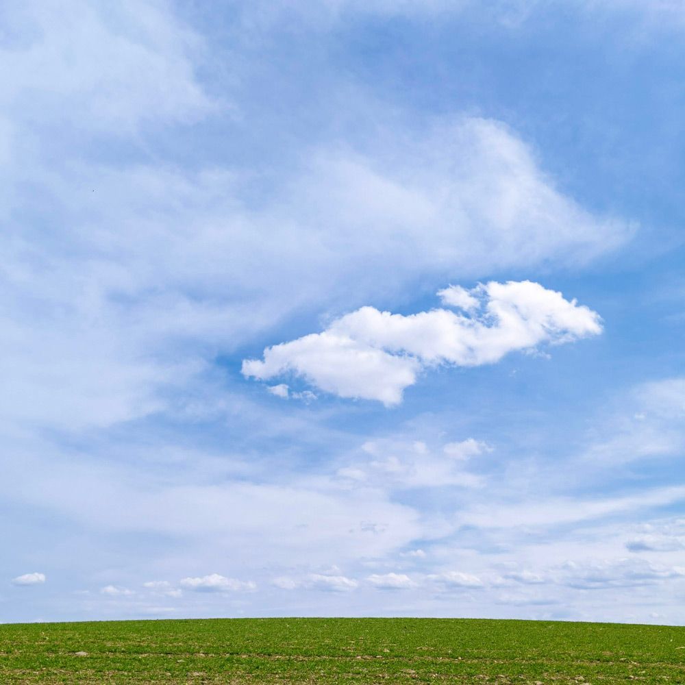 Green Field Nature And Blue Sky — Pool Cleaning Services in Junee, NSW