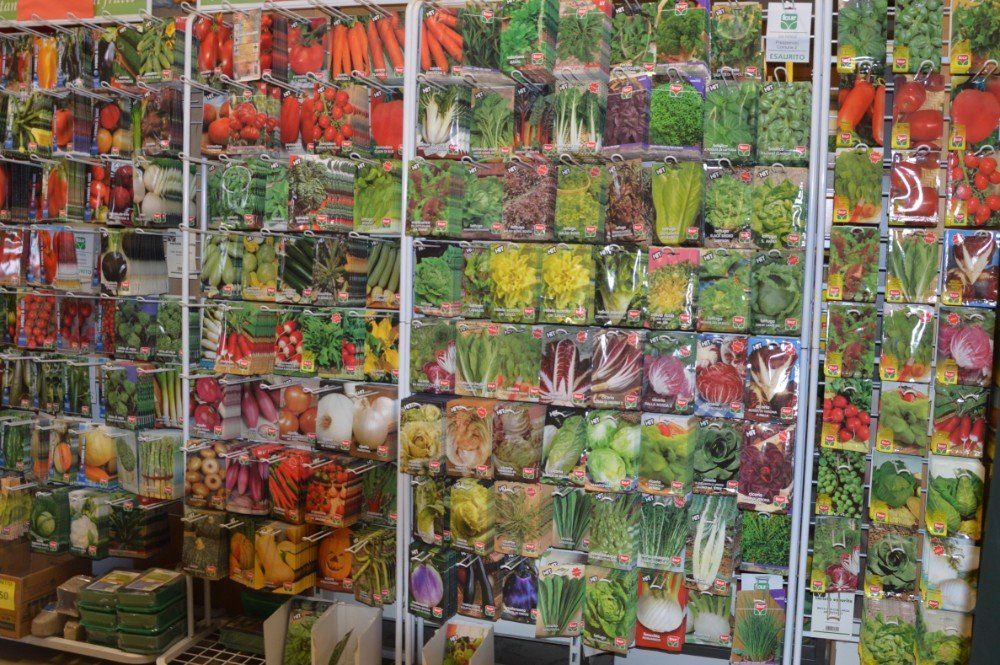 Sementi di ffiori e piante