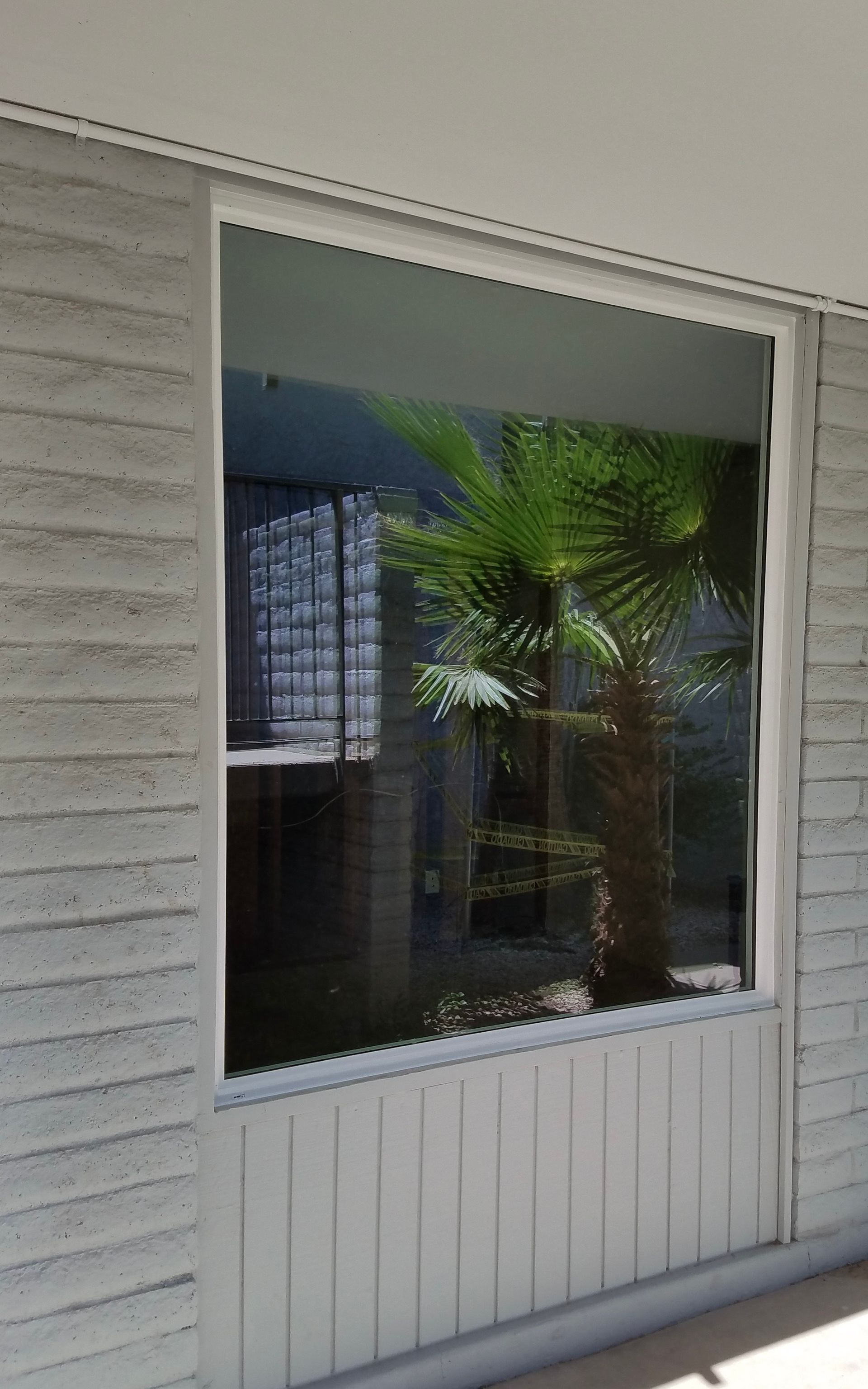 Window reflecting a palm tree, set in a light grey textured wall, with a white frame.