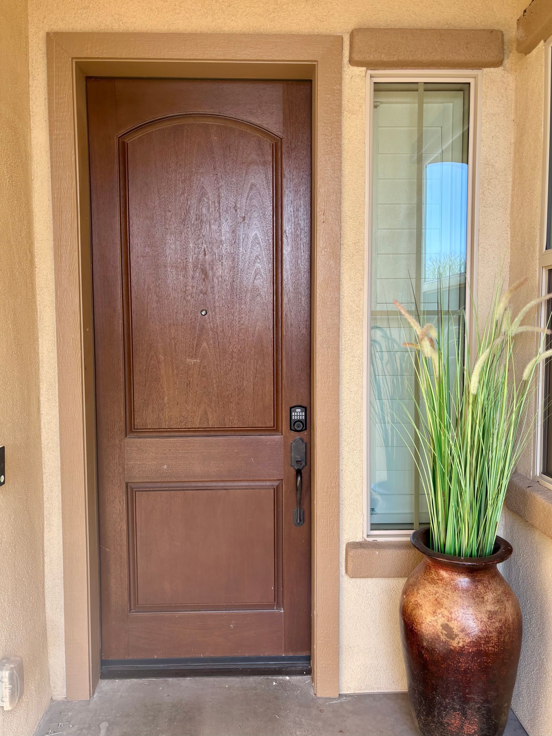Brown door with textured finish, next to a window and decorative vase with tall green plants.