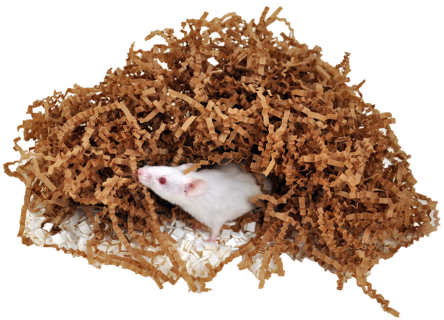 Rodent Enrichment Products | W.F. Fisher and Son