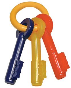 Bio-Serv Certified Flexi-Keys