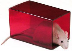 Bio-Serv Certified Rat Retreat