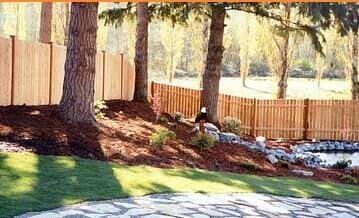 A wooden fence is surrounded by trees in a backyard.