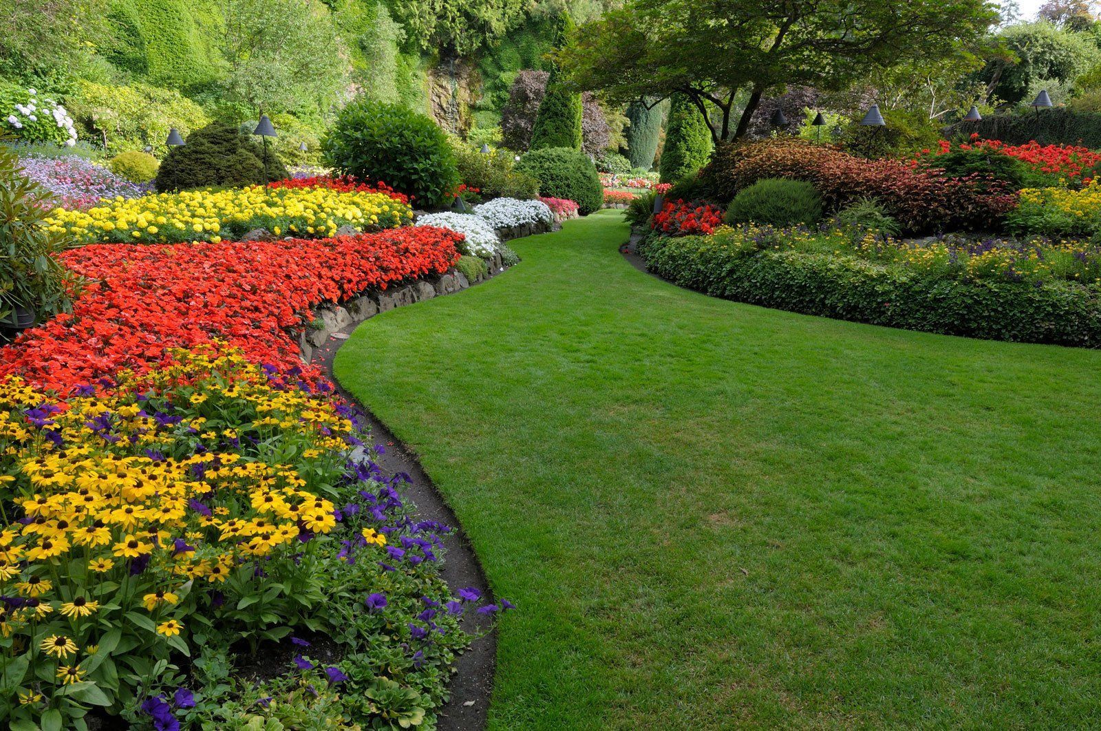 A garden filled with lots of flowers and grass