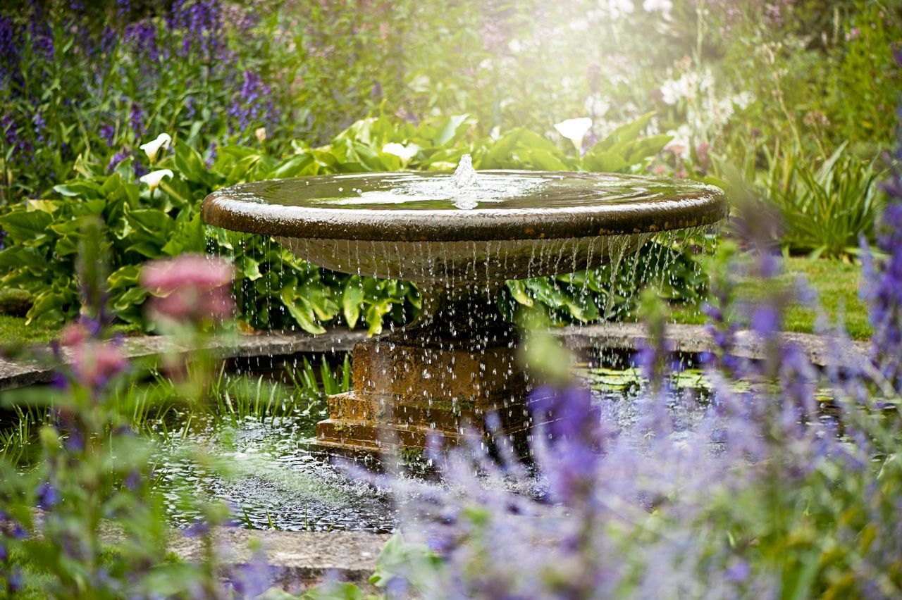 A bird bath is surrounded by purple flowers in a garden.