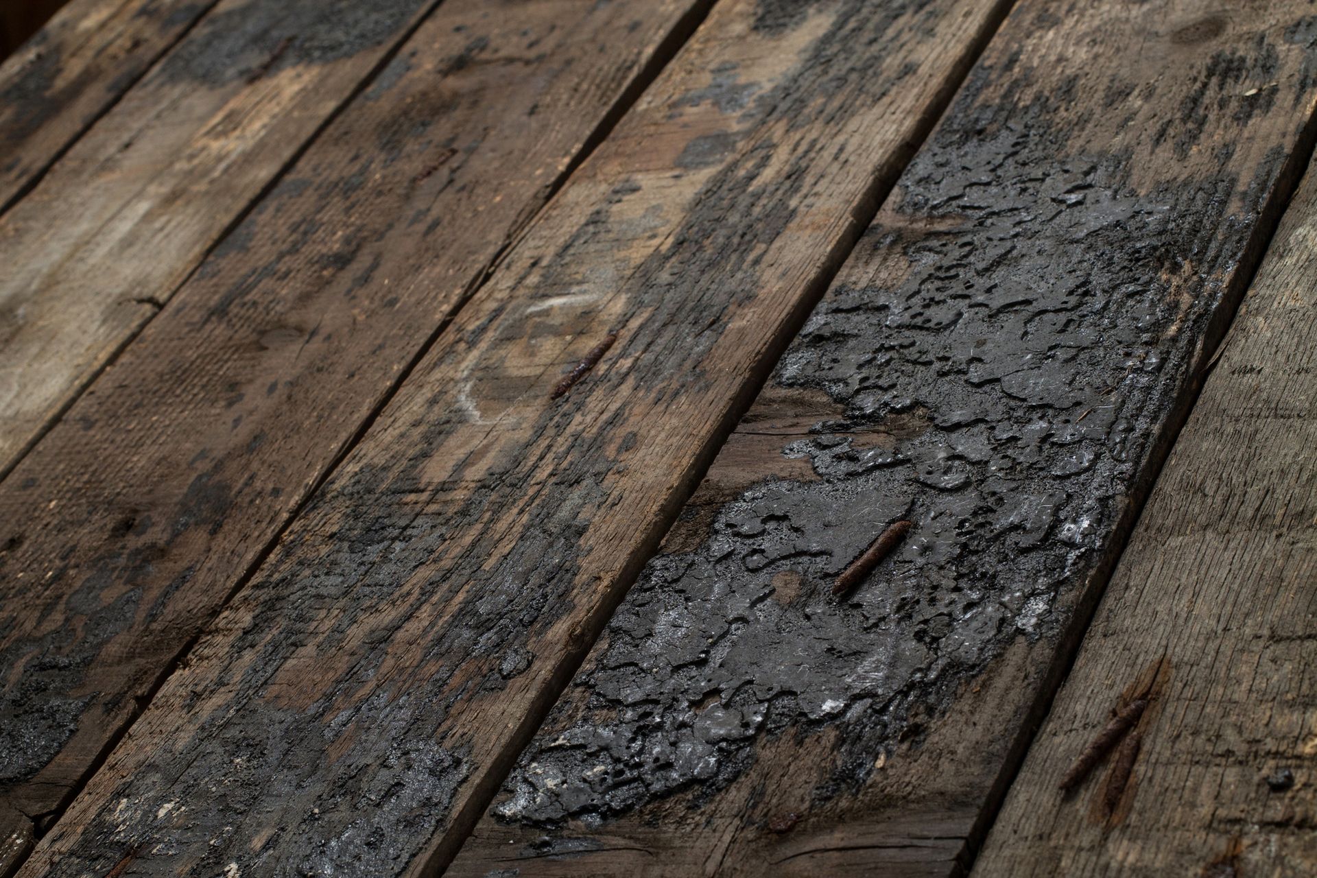 Dry Rot Repair in Pleasant Hill, CA