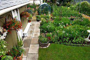 garden landscaping - Loughborough - Ellis Tree and Garden Services - Garden