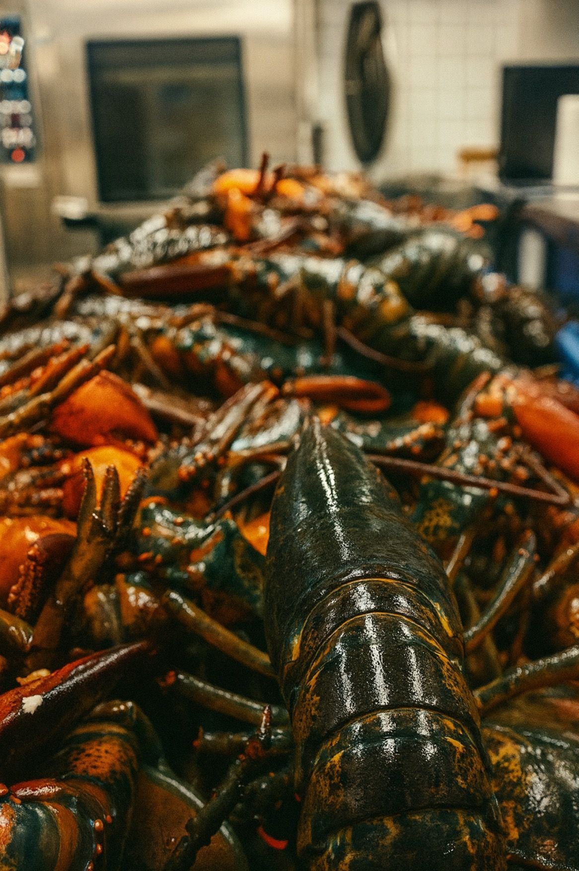 Pile of cooked lobsters, dark red-brown shells. Kitchen setting with blurred background.