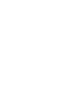 Netball Victoria