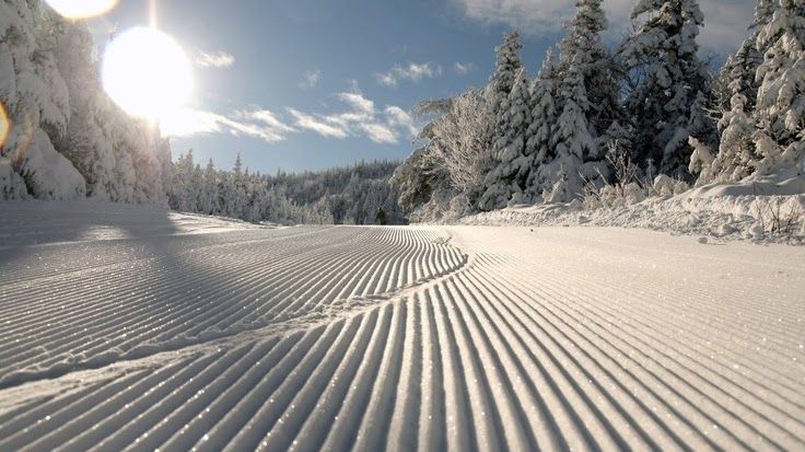 A snowy road with trees in the background and the sun shining through the clouds