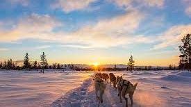 A herd of husky dogs pulling a sled through the snow at sunset.