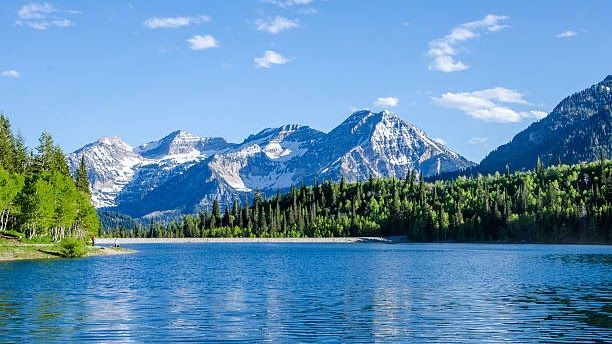 A lake with mountains in the background and trees on the shore.