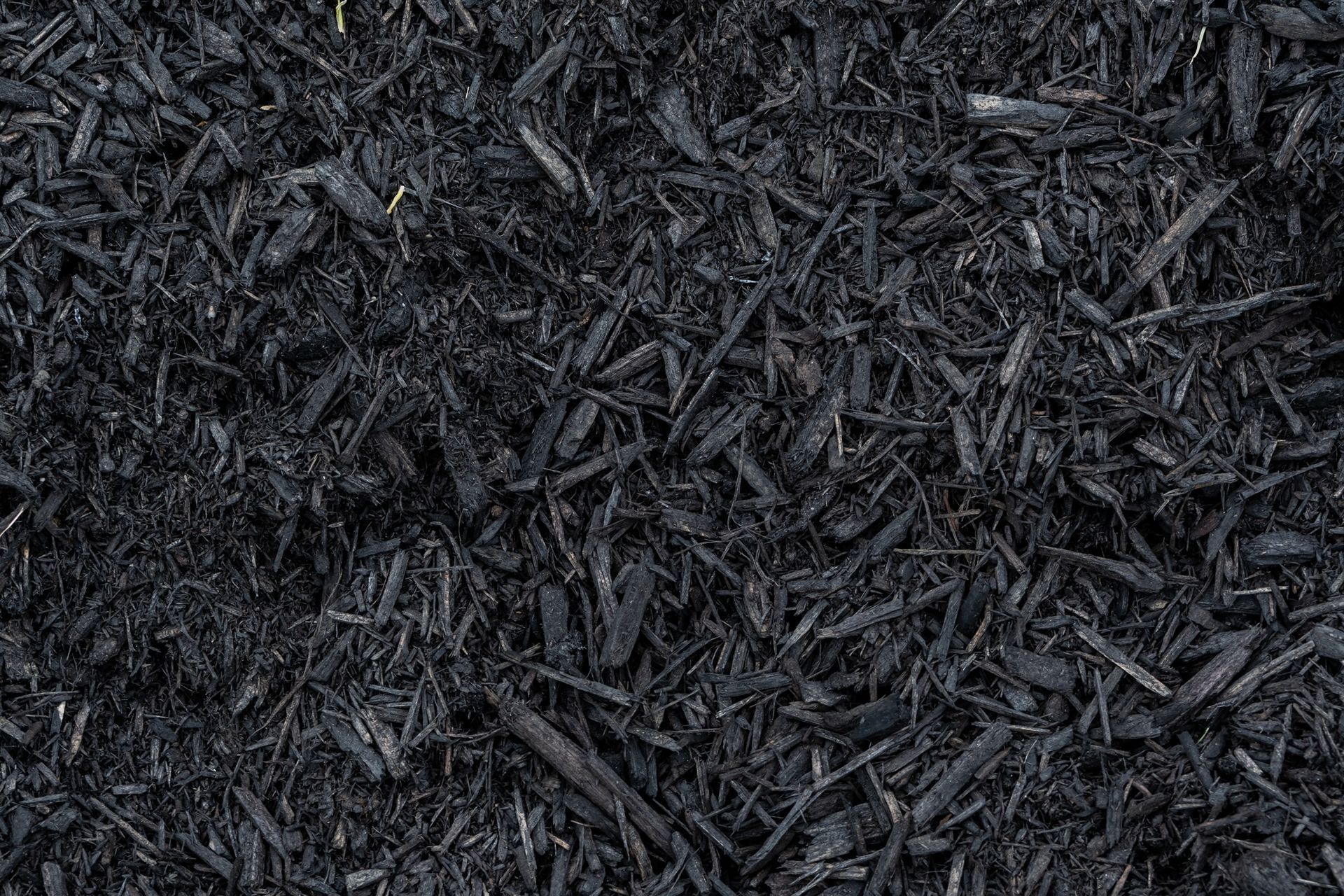 dark mulch chips in focus