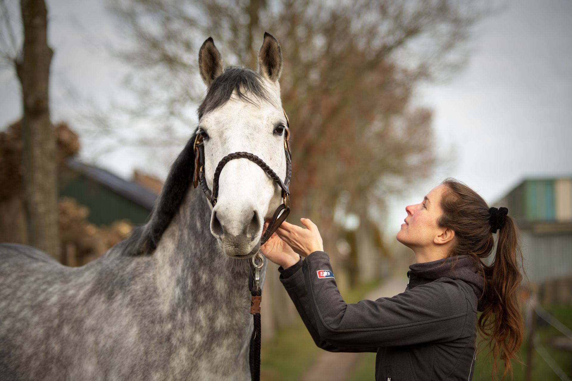 Osteopaat paard hond friesland groningen drenthe