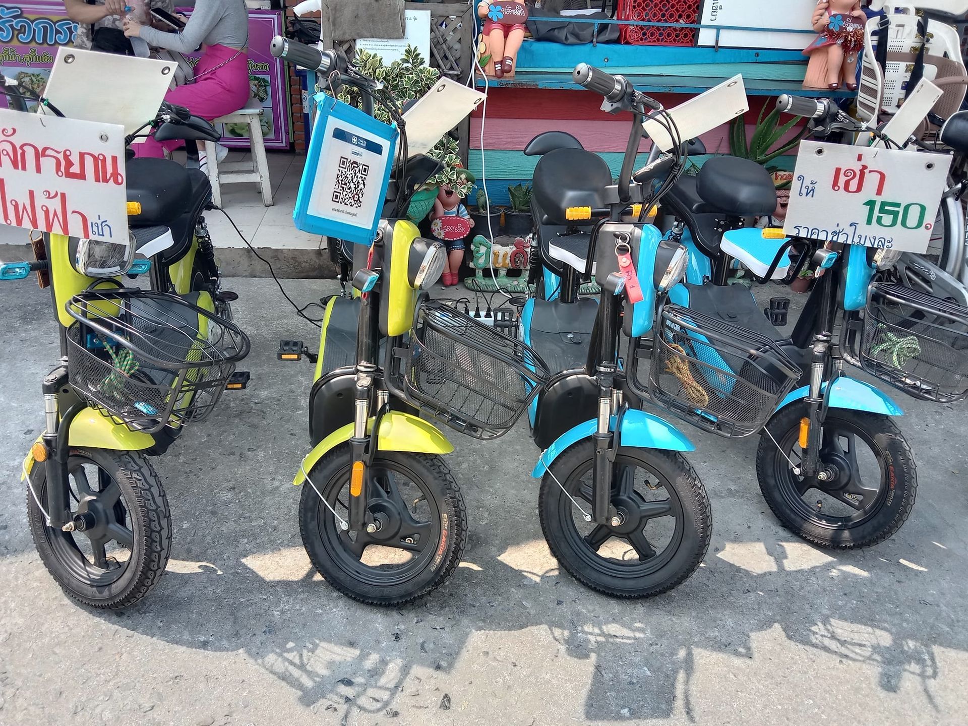 จักรยานให้เช่า เหมียว & จุ๋ม เกาะเกร็ด