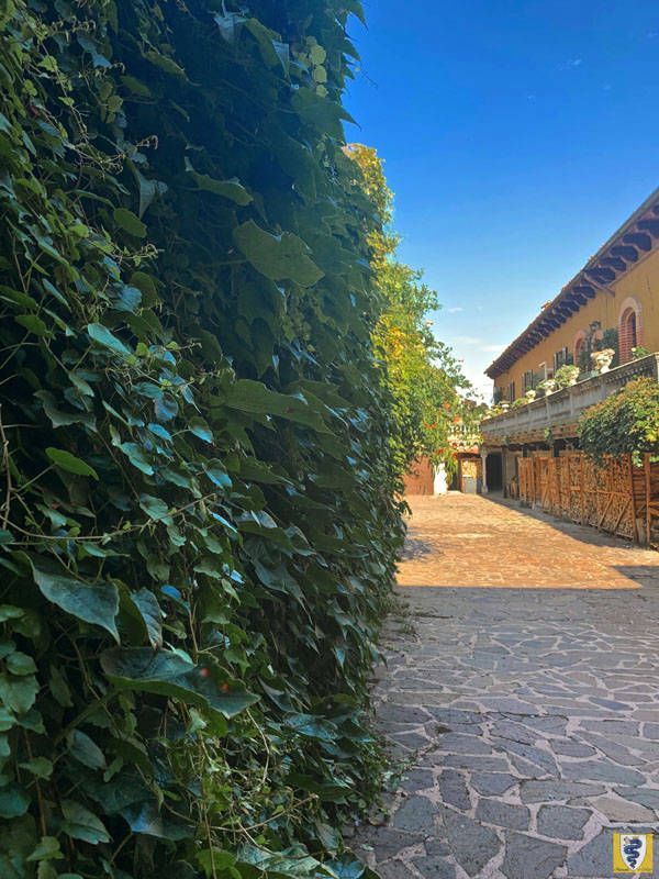ristorante al mago