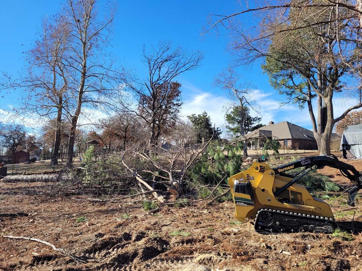 A yellow mini excavator clearing a lot of dead trees and branches on a sunny day.