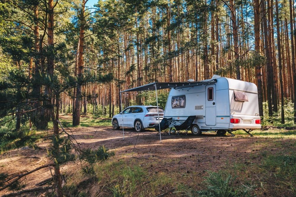 White camper and SUV parked in a sunny forest campsite with an awning extended. — The Caravan Clinic in South Murwillumbah, NSW