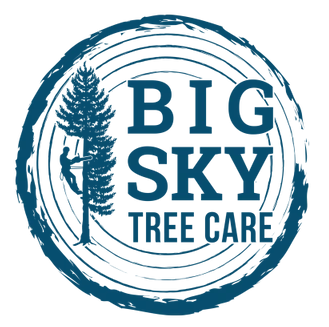 Tree Service in Bozeman, MT | Big Sky Tree Care