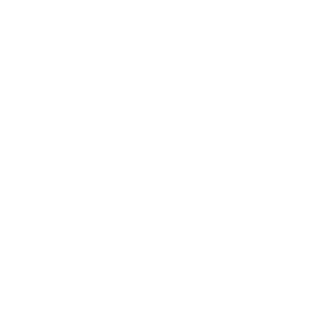 Tree Service in Bozeman, MT | Big Sky Tree Care
