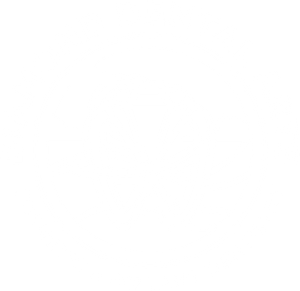 Diamond Dental Arts Logo | Best Cosmetic Dentist In Punta Gorda, Florida