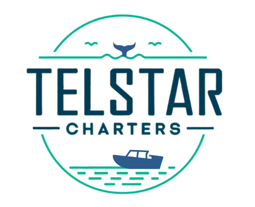 Telstar Charters Logo
