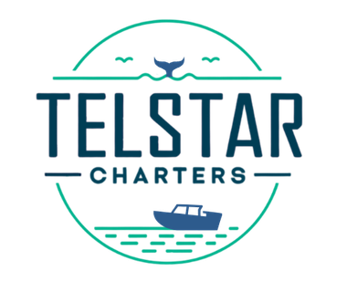 Telstar Charters Logo
