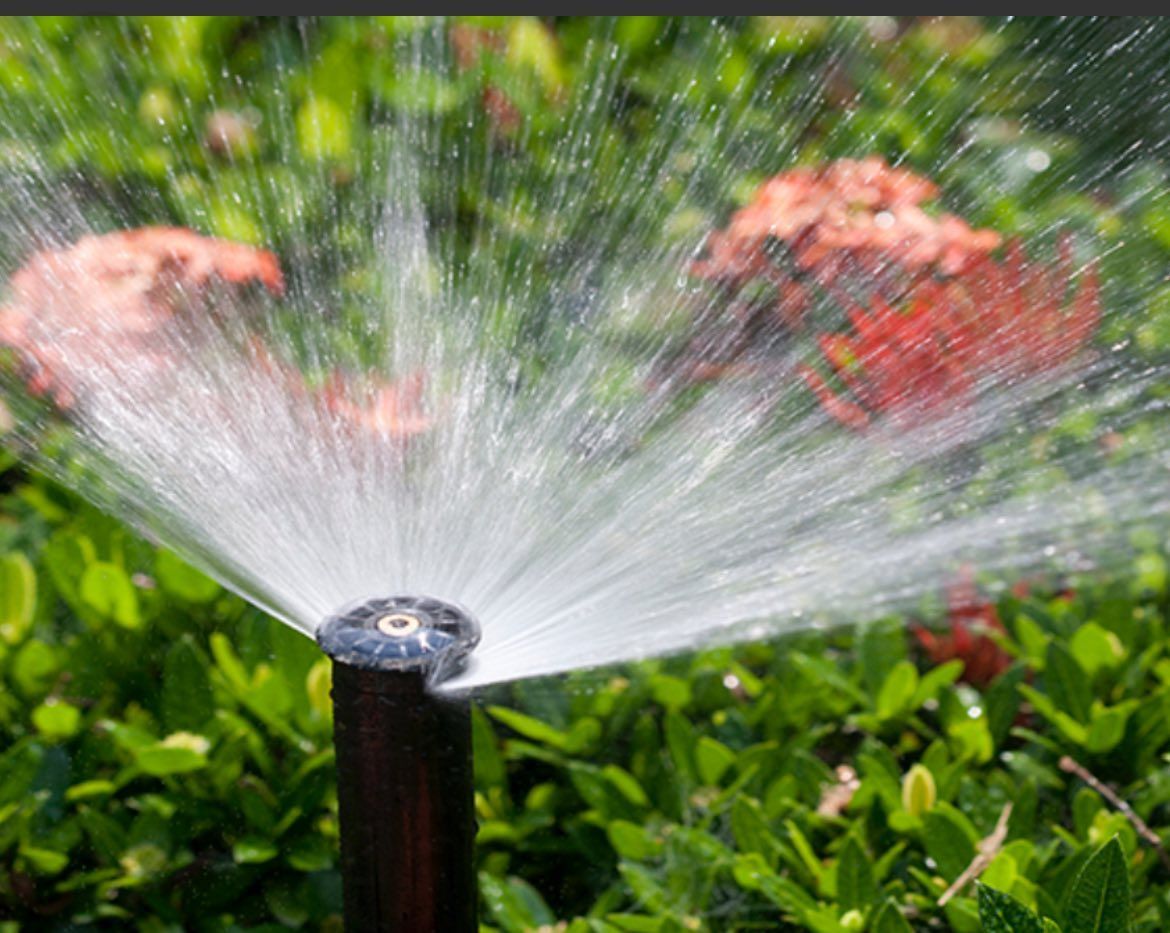 Sprinkler spraying water onto green foliage and red flowers in a garden.