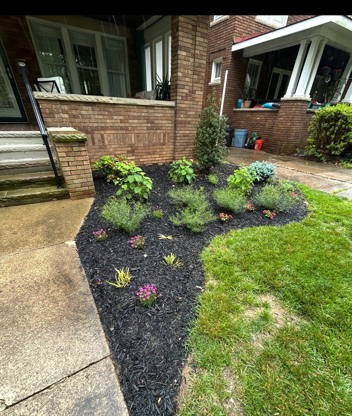 Landscaped front yard with black mulch, various green plants, and a brick house.