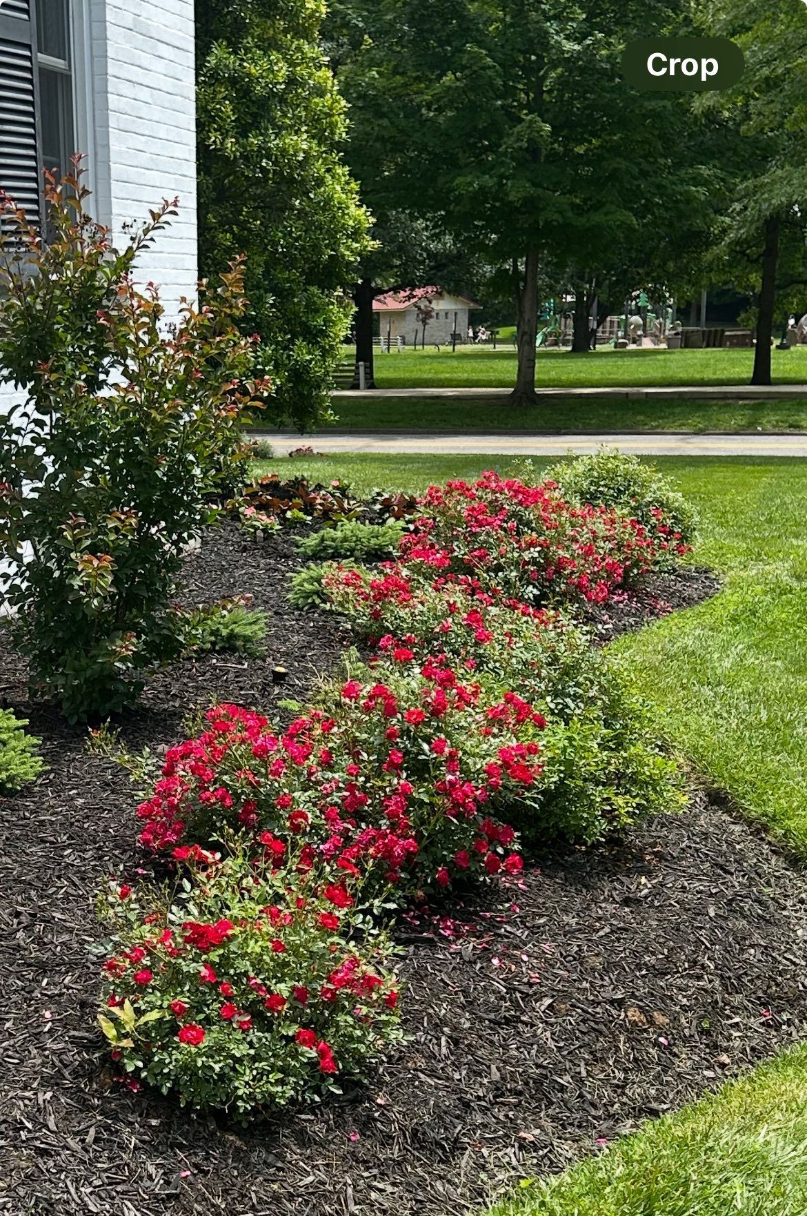 Charlotte Kitchen Remodeler