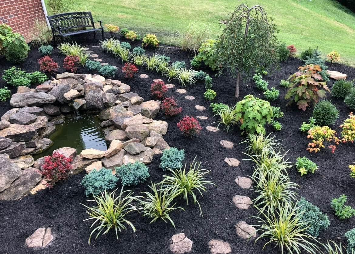 A landscaped garden bed with a small pond, various plants, and black mulch. A bench sits in the background.