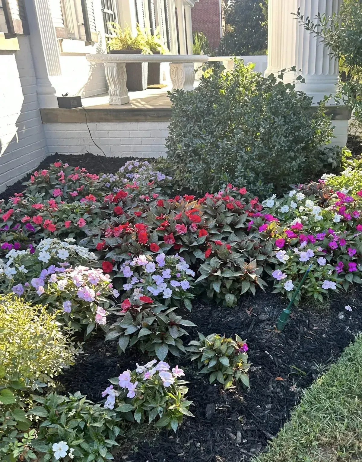 Flowerbed with red, pink, and white blossoms in front of a white porch with a green bush in the background.