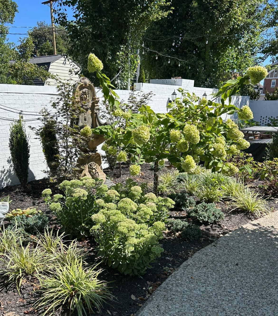 Charlotte, North Carolina skyline at sunset, golden light on skyscrapers.