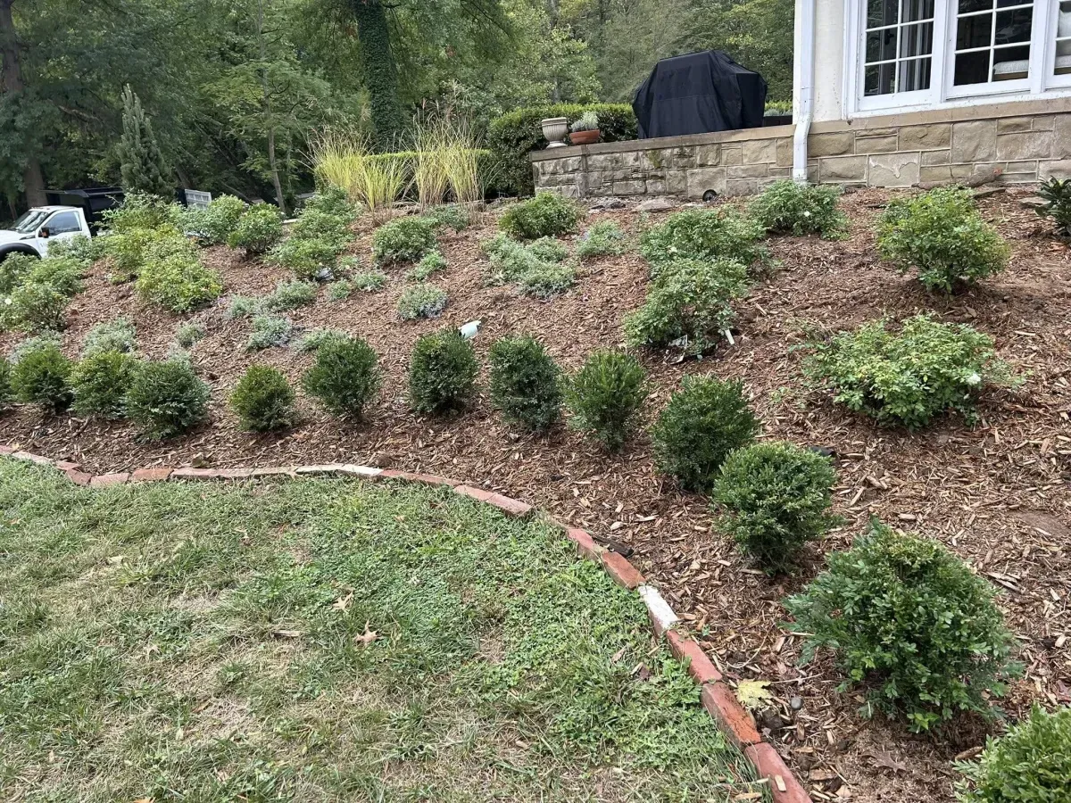 Kitchen Remodel for Charlotte, NC - Brook Forest Lane 516